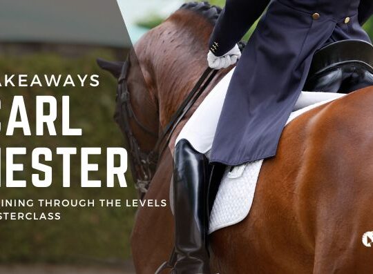 Critical Takeaways from Carl Hester Masterclass: Training Through the Levels