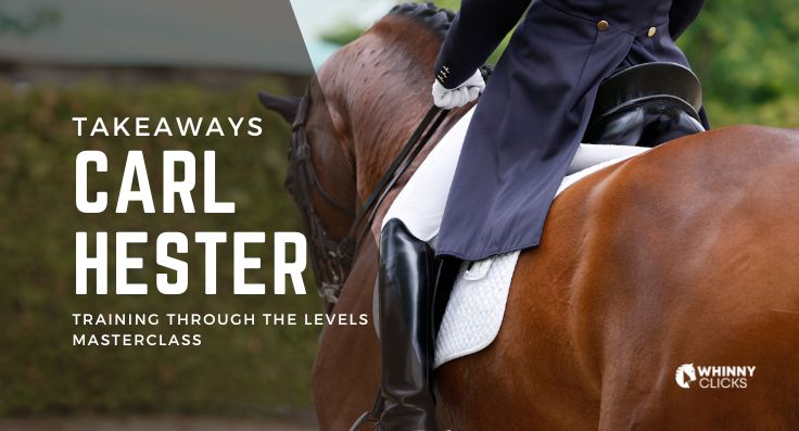 Critical Takeaways from Carl Hester Masterclass: Training Through the Levels