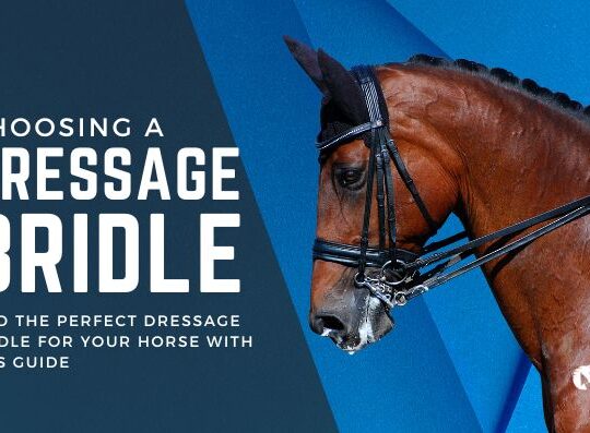 5 Steps to Choosing the Perfect Dressage Bridle for Your Horse