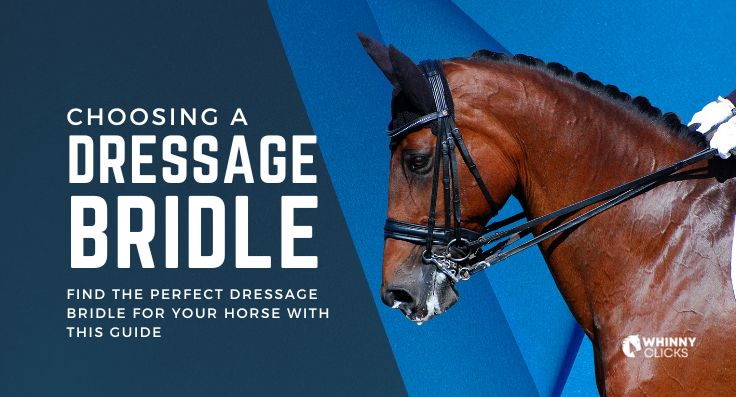 5 Steps to Choosing the Perfect Dressage Bridle for Your Horse