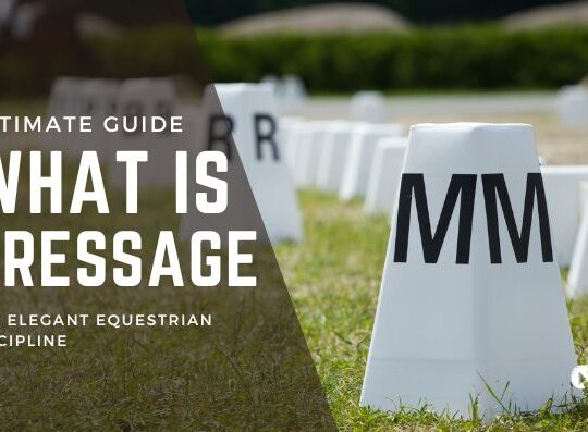 What is Dressage? The Ultimate Guide to the Elegant Equestrian Discipline