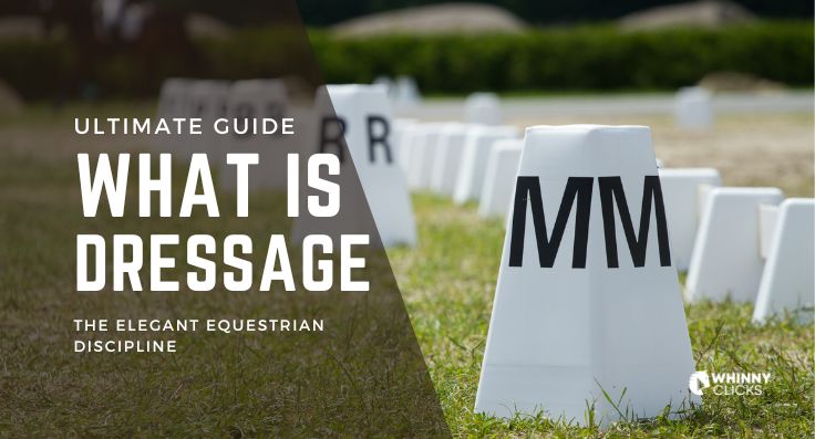 What is Dressage? The Ultimate Guide to the Elegant Equestrian Discipline