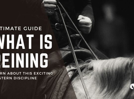 What is Reining? A Comprehensive Guide to this Exciting Equine Sport