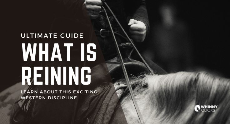 What is Reining? A Comprehensive Guide to this Exciting Equine Sport