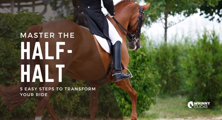 5 Easy Steps to Master the Half-Halt and Transform Your Riding Skills