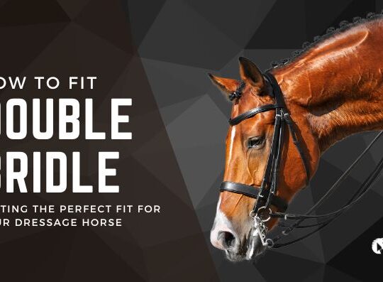 How to Perfectly Fit a Double Bridle for Your Dressage Horse