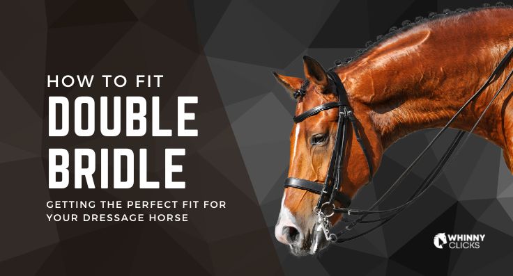 How to Perfectly Fit a Double Bridle for Your Dressage Horse