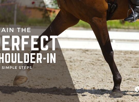 5 Steps to Train Your Horse to Do the Perfect Shoulder-In: A Beginner’s Guide