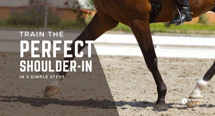 5 Steps to Train Your Horse to Do the Perfect Shoulder-In: A Beginner’s Guide