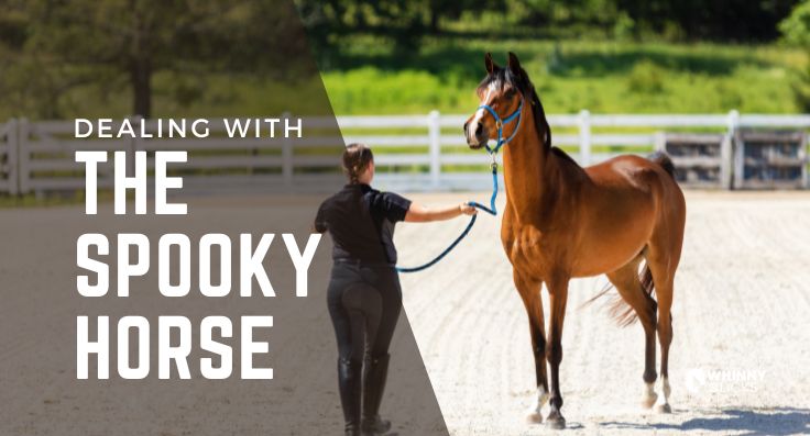 How Do I Deal with a Spooky Horse? A Step-by-Step Guide