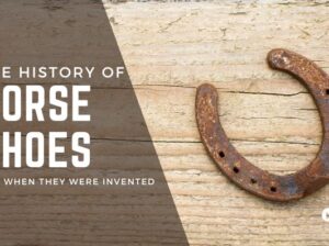 The History of Horseshoes and When They Were Invented