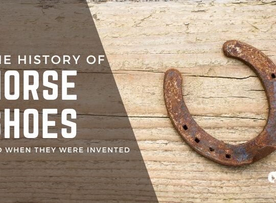 The History of Horseshoes and When They Were Invented