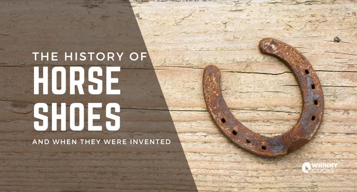 The History of Horseshoes and When They Were Invented